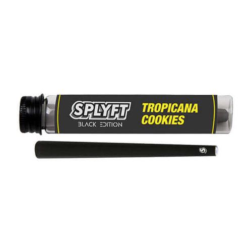 SPLYFT Black Edition Cannabis Terpene Infused Cones – Tropicana Cookies (BUY 1 GET 1 FREE) £5.99